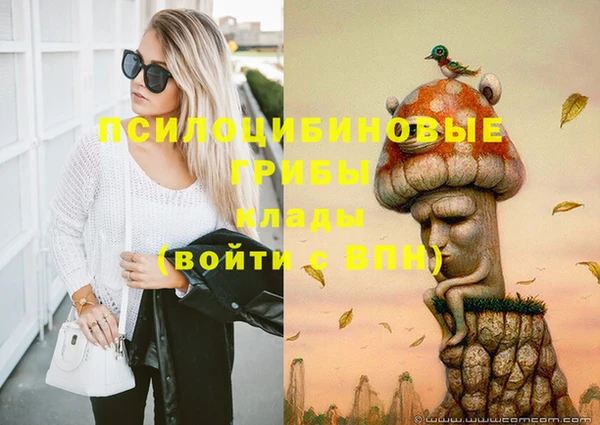 гидра Бердск